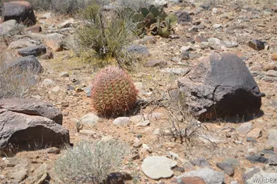 208-24-134 Cameron Road, Yucca, AZ 86438 - Photo 10