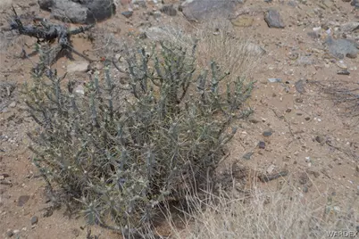 208-24-134 Cameron Road, Yucca, AZ 86438 - Photo 30