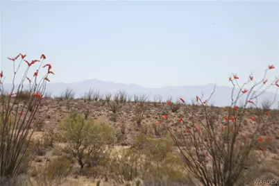245-24-067A Lorton Drive, Yucca, AZ 86438 - Photo 14