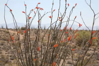 245-24-067A Lorton Drive, Yucca, AZ 86438 - Photo 32
