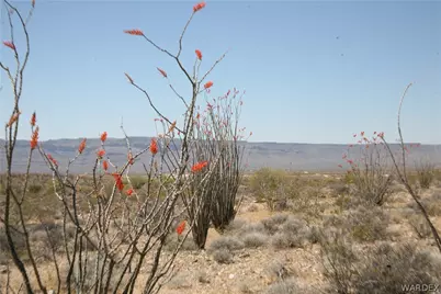 245-24-067A Lorton Drive, Yucca, AZ 86438 - Photo 34