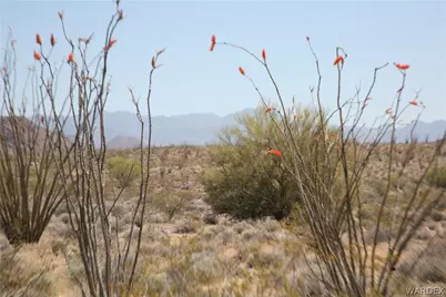245-24-067A Lorton Drive, Yucca, AZ 86438 - Photo 30