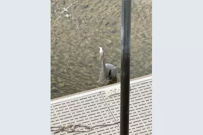 2605 Camino Del Rio, Bullhead City, AZ 86442 - Photo 60