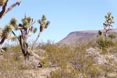 Lot 13 N Kingman Drive, Dolan Springs, AZ 86441 - Photo 12