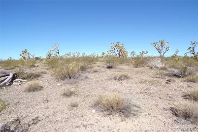 Lot 13 N Kingman Drive, Dolan Springs, AZ 86441 - Photo 8