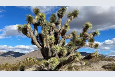 0 Granite Gorge Dr Lots  5189-5193, Meadview, AZ 86444 - Photo 6