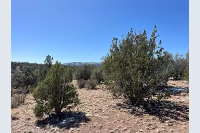 32984 W Doblar Circle, Seligman, AZ 86337 - Photo 10