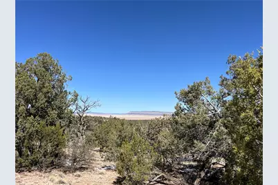 32984 W Doblar Circle, Seligman, AZ 86337 - Photo 4