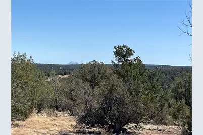 32984 W Doblar Circle, Seligman, AZ 86337 - Photo 6