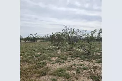 317-20-049 N Agate Road, Dolan Springs, AZ 86441 - Photo 4