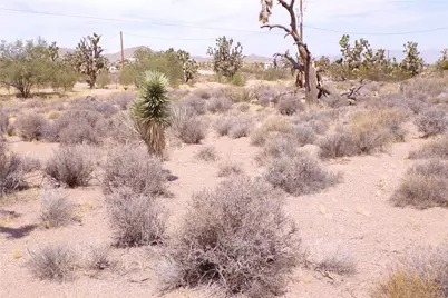 27276 N Apple Drive, Meadview, AZ 86444 - Photo 12