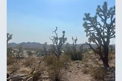328-04-263 Mariposa Drive, Dolan Springs, AZ 86441 - Photo 4