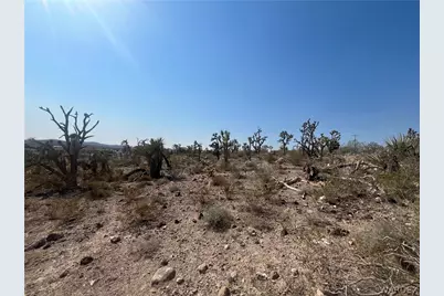 Lot 279 Mariposa Drive, Dolan Springs, AZ 86441 - Photo 8