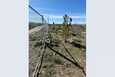 Lot 56 Holly Drive, Dolan Springs, AZ 86441 - Photo 2