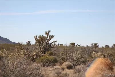 244-09-137A Martin Drive, Yucca, AZ 86438 - Photo 54