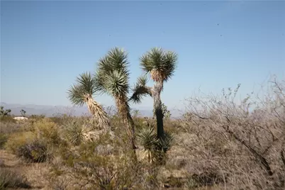Lots 9 & 10 Martin Drive, Yucca, AZ 86438 - Photo 76