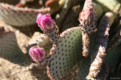 Lots 9 & 10 Martin Drive, Yucca, AZ 86438 - Photo 42