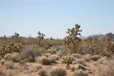 244-09-137A Martin Drive, Yucca, AZ 86438 - Photo 56