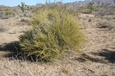 Lots 9 & 10 Martin Drive, Yucca, AZ 86438 - Photo 38