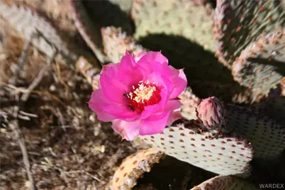 Lots 9 & 10 Martin Drive, Yucca, AZ 86438 - Photo 40