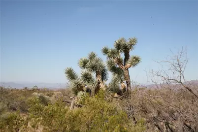 244-09-137A Martin Drive, Yucca, AZ 86438 - Photo 70