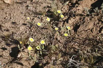 Lots 9 & 10 Martin Drive, Yucca, AZ 86438 - Photo 36