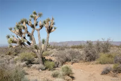 Lots 9 & 10 Martin Drive, Yucca, AZ 86438 - Photo 34