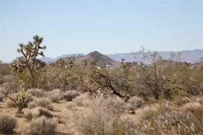 Lots 9 & 10 Martin Drive, Yucca, AZ 86438 - Photo 60