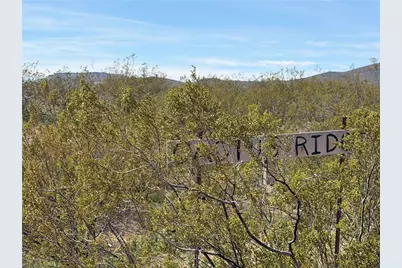 351-12-050 N Matthew Road, Dolan Springs, AZ 86441 - Photo 2
