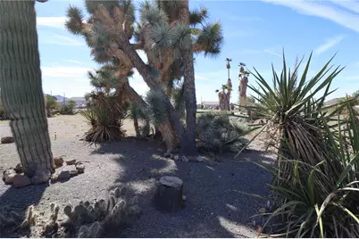 3008 W McConnico Road, Golden Valley, AZ 86413 - Photo 28