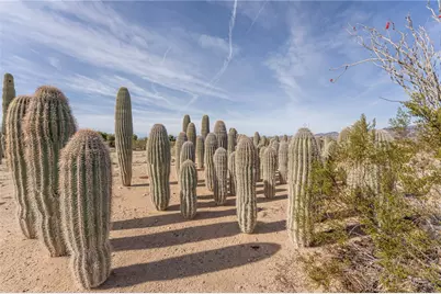 14158 S Calabasas Road, Yucca, AZ 86438 - Photo 96