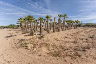 14158 S Calabasas Rd, Yucca, AZ 86438 - Photo 96