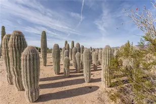 14158 S Calabasas Rd, Yucca, AZ 86438 - Photo 94