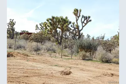 18417 N Sage Drive, Dolan Springs, AZ 86441 - Photo 32