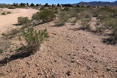 Lot 4 Diamond Back Drive, Kingman, AZ 86401 - Photo 2
