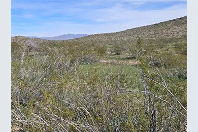 351-09-037 N Kanyr Road, Dolan Springs, AZ 86441 - Photo 4