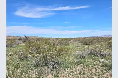 002 N Kanyr Road, Dolan Springs, AZ 86441 - Photo 16