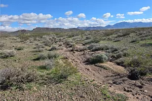 000 N Cotton, Dolan Springs, AZ 86441 - Photo 1