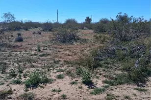 8872 W 6th St, Dolan Springs, AZ 86441 - Photo 1