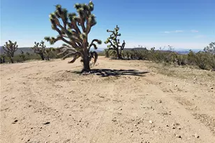 21115 N Madera Dr, White Hills, AZ 86445 - Photo 1