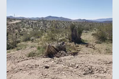 21115 N Madera Drive, White Hills, AZ 86445 - Photo 10