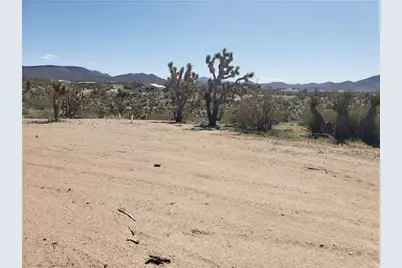 21115 N Madera Drive, White Hills, AZ 86445 - Photo 6