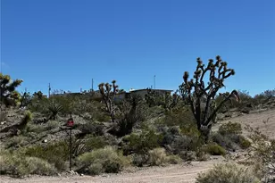 8272 Chino Dr, White Hills, AZ 86445 - Photo 48