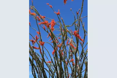 4330 W Speedway Road, Yucca, AZ 86438 - Photo 4