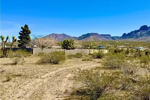 17305 N Lost Mine Dr, Dolan Springs, AZ 86441 - Photo 70