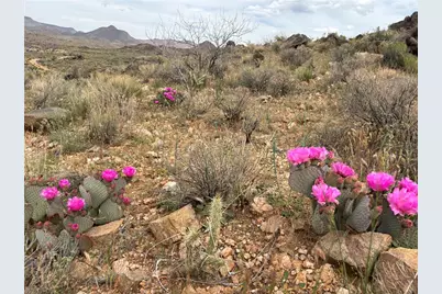 254-24-002 Mica, Kingman, AZ 86401 - Photo 32