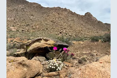 254-24-002 Mica, Kingman, AZ 86401 - Photo 66