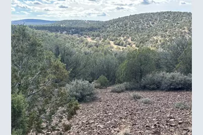 160 N Fort Rock Road, Kingman, AZ 86401 - Photo 14