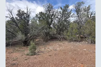 160 N Fort Rock Road, Kingman, AZ 86401 - Photo 18