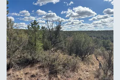 40 N Diamond M Ranch Road, Kingman, AZ 86401 - Photo 10